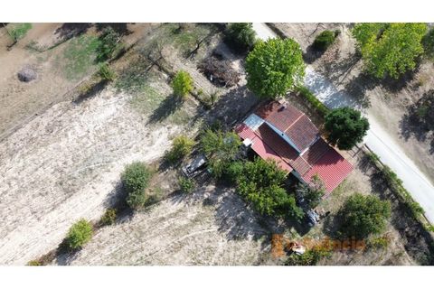 Farm i Ferro, Castelo Branco, Ferro - € 149.000 | Ref: MAS_120 - foto 2