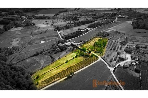 Farm i Ferro, Castelo Branco, Ferro - € 149.000 | Ref: MAS_120 - foto 3