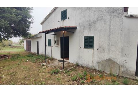 Farm i Ferro, Castelo Branco, Ferro - € 149.000 | Ref: MAS_120 - foto 4