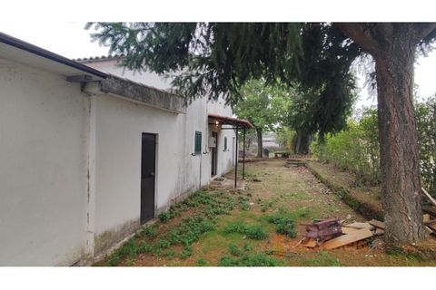 Farm i Ferro, Castelo Branco, Ferro - € 149.000 | Ref: MAS_120 - foto 5