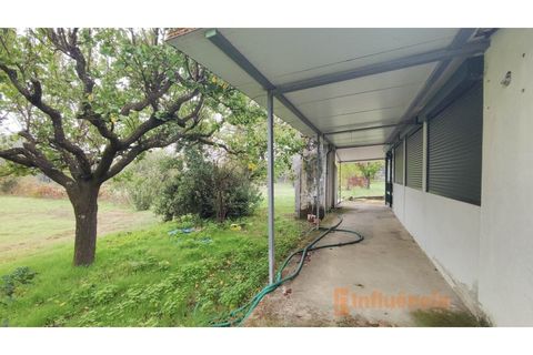 Farm i Ferro, Castelo Branco, Ferro - € 149.000 | Ref: MAS_120 - foto 16