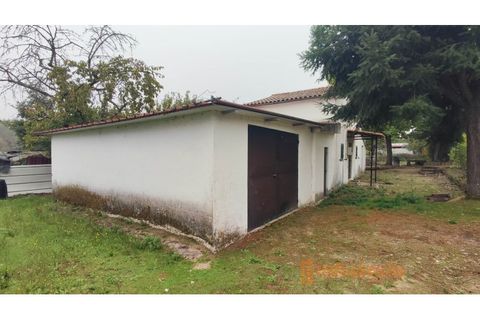 Farm i Ferro, Castelo Branco, Ferro - € 149.000 | Ref: MAS_120 - foto 17