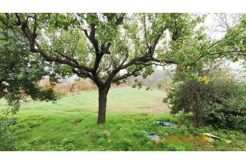 Farm i Ferro, Castelo Branco, Ferro - € 149.000 | Ref: MAS_120 - foto 18
