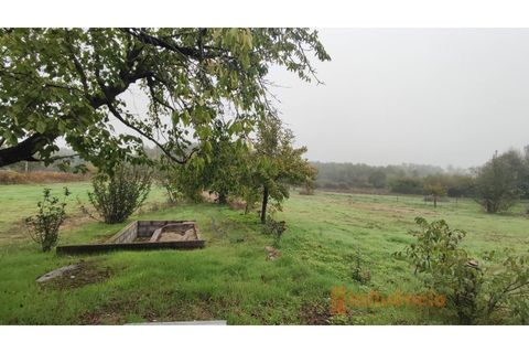 Farm i Ferro, Castelo Branco, Ferro - € 149.000 | Ref: MAS_120 - foto 19