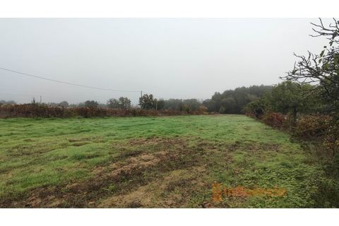Farm i Ferro, Castelo Branco, Ferro - € 149.000 | Ref: MAS_120 - foto 21