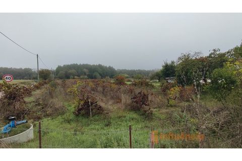 Farm i Ferro, Castelo Branco, Ferro - € 149.000 | Ref: MAS_120 - foto 24
