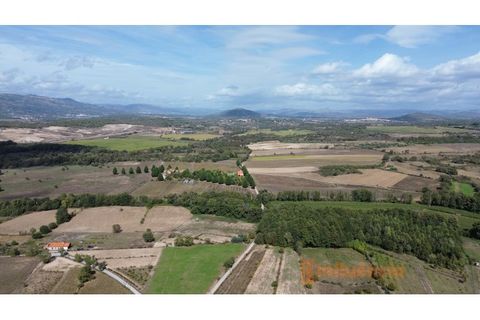 Farm i Ferro, Castelo Branco, Ferro - € 149.000 | Ref: MAS_120 - foto 25