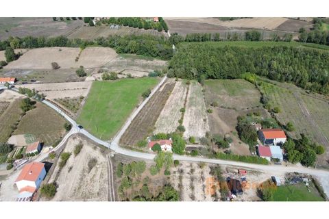 Farm i Ferro, Castelo Branco, Ferro - € 149.000 | Ref: MAS_120 - foto 26