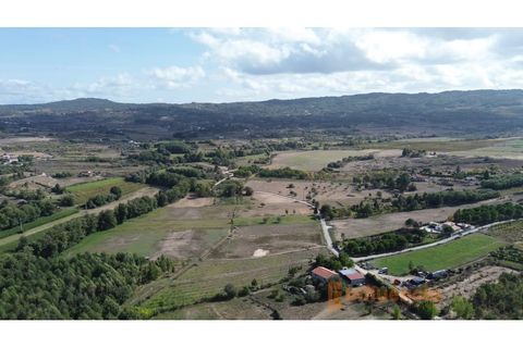 Farm i Ferro, Castelo Branco, Ferro - € 149.000 | Ref: MAS_120 - foto 27