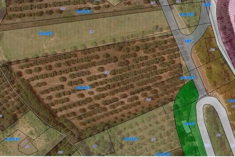 Terra a Colonnella, Teramo, Colonnella - € 90.000 | Ref: 6738 - foto 5