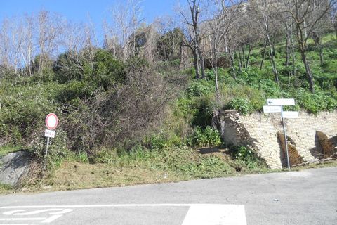 Terra a Colonnella, Teramo, Colonnella - € 90.000 | Ref: 6738 - foto 6