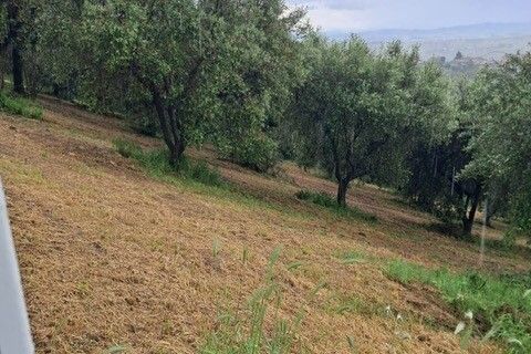 Terra a Colonnella, Teramo, Colonnella - € 90.000 | Ref: 6738 - foto 9