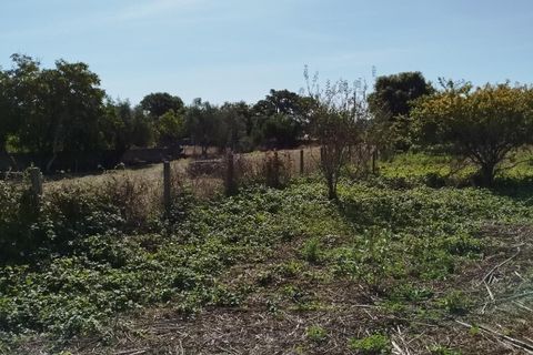 Helårsgrund i Sintra, Lisbon, Sintra - € 850.000 | Ref: ptm4633 - foto 2