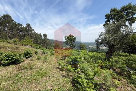 Byhus i Vila Verde, Braga, Vila Verde - € 200.000 | Ref: 08905 - foto 14