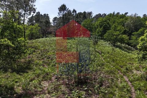 Helårsgrund i Terras de Bouro, Braga, Terras de Bouro - € 199.000 | Ref: 08901 - foto 22