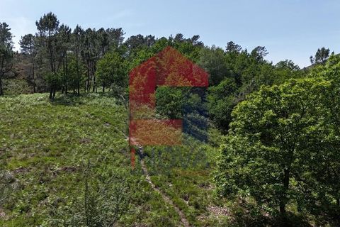 Helårsgrund i Terras de Bouro, Braga, Terras de Bouro - € 199.000 | Ref: 08901 - foto 23