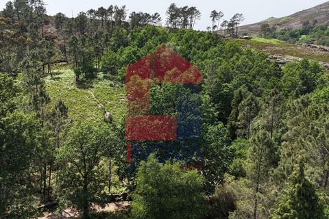 Helårsgrund i Terras de Bouro, Braga, Terras de Bouro - € 199.000 | Ref: 08901 - foto 24