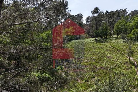 Helårsgrund i Terras de Bouro, Braga, Terras de Bouro - € 199.000 | Ref: 08901 - foto 26