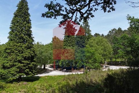 Helårsgrund i Terras de Bouro, Braga, Terras de Bouro - € 199.000 | Ref: 08901 - foto 27