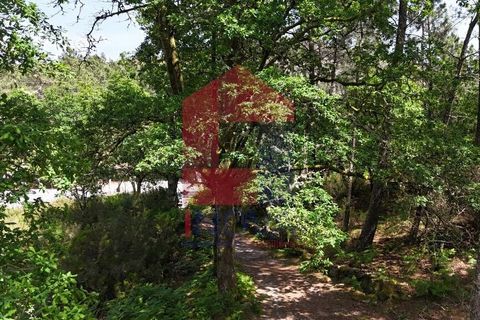 Helårsgrund i Terras de Bouro, Braga, Terras de Bouro - € 199.000 | Ref: 08901 - foto 29