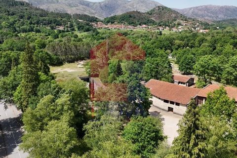 Helårsgrund i Terras de Bouro, Braga, Terras de Bouro - € 199.000 | Ref: 08901 - foto 30