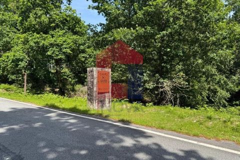 Helårsgrund i Terras de Bouro, Braga, Terras de Bouro - € 199.000 | Ref: 08901 - foto 42