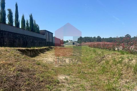 Helårsgrund i Amares, Braga, Amares - € 71.500 | Ref: 08903 - foto 11