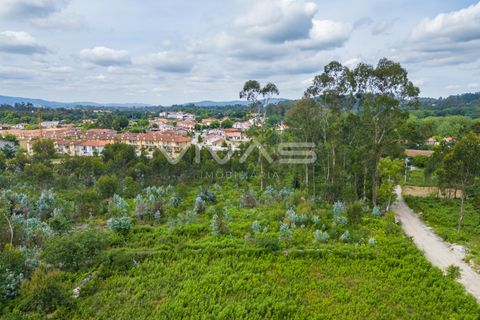 Helårsgrund i Vila Verde, Braga, Vila Verde - € 97.500 | Ref: 01-3497 - foto 9