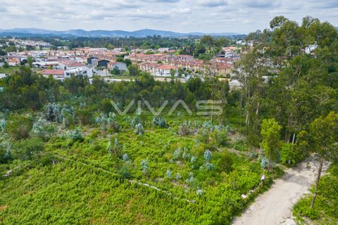 Helårsgrund i Vila Verde, Braga, Vila Verde - € 97.500 | Ref: 01-3497 - foto 10