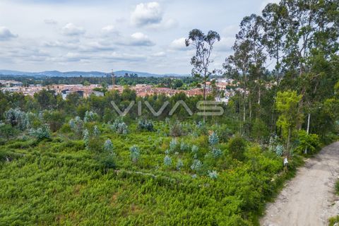 Helårsgrund i Vila Verde, Braga, Vila Verde - € 97.500 | Ref: 01-3497 - foto 11