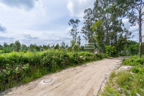 Helårsgrund i Vila Verde, Braga, Vila Verde - € 97.500 | Ref: 01-3497 - foto 16
