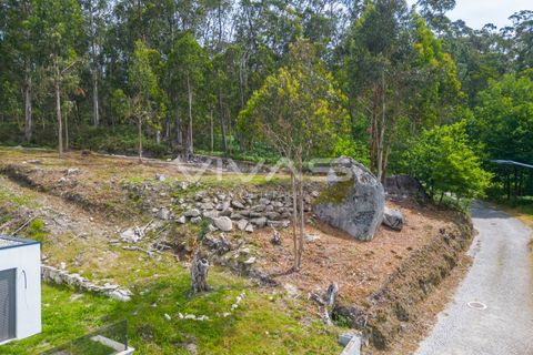 Helårsgrund i Amares, Braga, Amares - € 59.000 | Ref: 01-3829 - foto 9