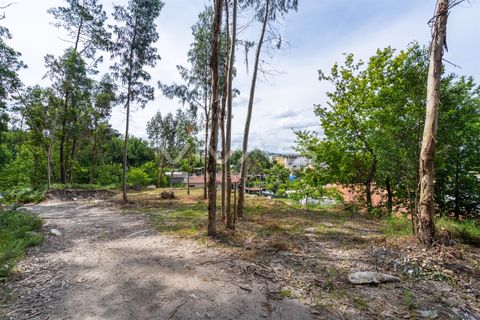 Helårsgrund i Amares, Braga, Amares - € 59.000 | Ref: 01-3829 - foto 11