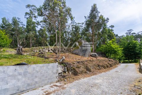 Helårsgrund i Amares, Braga, Amares - € 59.000 | Ref: 01-3829 - foto 17
