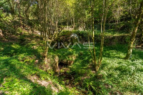 Villa i Vila Verde, Braga, Vila Verde - € 159.500 | Ref: 01-3833 - foto 13
