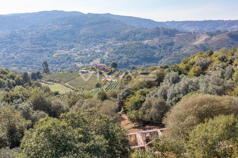 Villa i Vila Verde, Braga, Vila Verde - € 159.500 | Ref: 01-3833 - foto 23