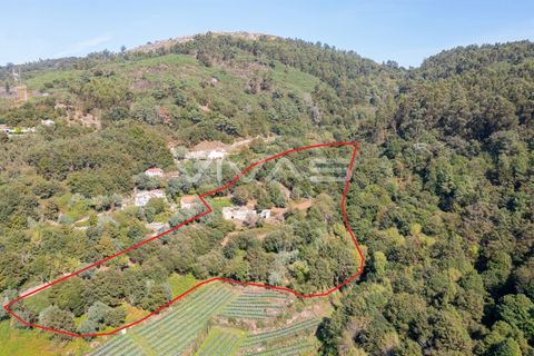Villa i Vila Verde, Braga, Vila Verde - € 159.500 | Ref: 01-3833 - foto 25