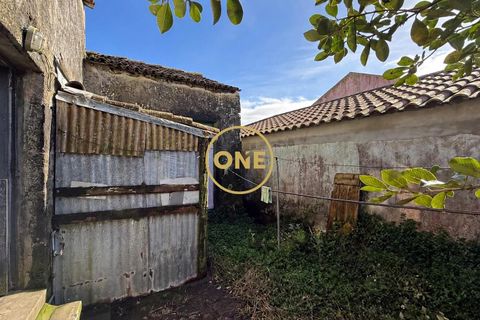 Byhus i Ponta Delgada, Sao Miguel, Ponta Delgada - € 170.000 | Ref: ONE401678-69 - foto 16