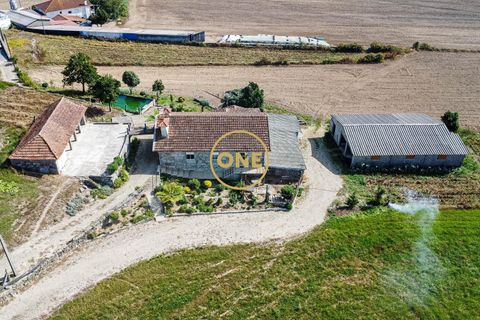 Farm i Barcelos, Braga, Barcelos - € 750.000 | Ref: ONE0011216-38 - foto 1