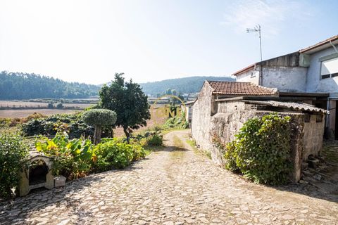 Farm i Barcelos, Braga, Barcelos - € 750.000 | Ref: ONE0011216-38 - foto 2