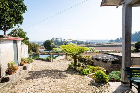 Farm i Barcelos, Braga, Barcelos - € 750.000 | Ref: ONE0011216-38 - foto 3