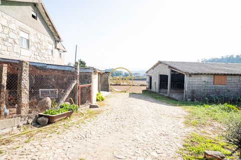Farm i Barcelos, Braga, Barcelos - € 750.000 | Ref: ONE0011216-38 - foto 5