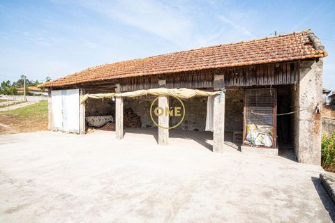 Farm i Barcelos, Braga, Barcelos - € 750.000 | Ref: ONE0011216-38 - foto 6