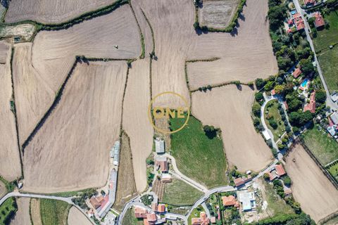 Farm i Barcelos, Braga, Barcelos - € 750.000 | Ref: ONE0011216-38 - foto 19