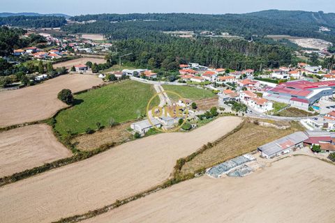 Farm i Barcelos, Braga, Barcelos - € 750.000 | Ref: ONE0011216-38 - foto 21