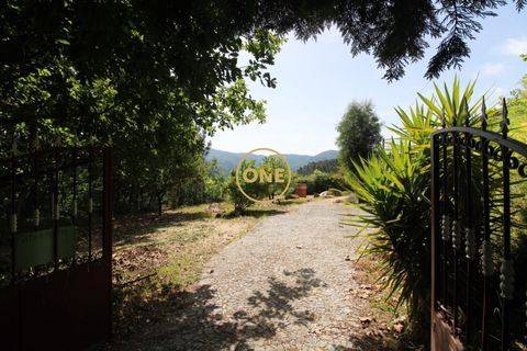 Landejendom i Vila Verde, Braga, Vila Verde - € 320.000 | Ref: ONE141671-9 - foto 44