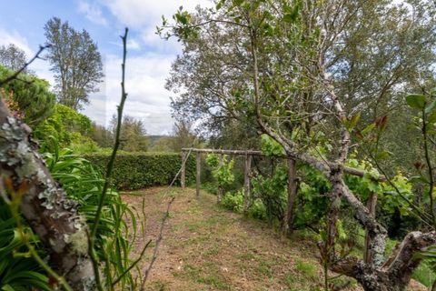 Farm i Monchique, Faro, Monchique - € 1.250.000 | Ref: KWPT-033255 - foto 42