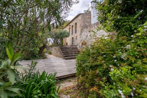 Farm i Monchique, Faro, Monchique - € 1.250.000 | Ref: KWPT-033255 - foto 43