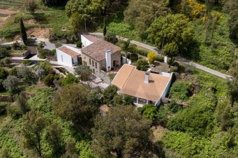 Farm i Monchique, Faro, Monchique - € 1.250.000 | Ref: KWPT-033255 - foto 50