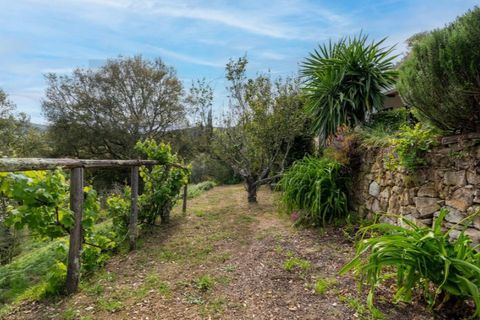 Gård i Monchique, Faro, Monchique - € 1 250 000 | Ref: KWPT-033255 - foto 45